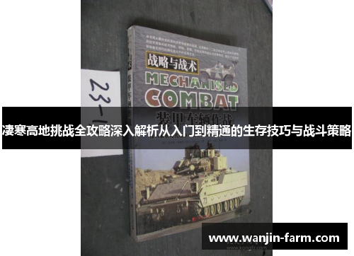 凄寒高地挑战全攻略深入解析从入门到精通的生存技巧与战斗策略