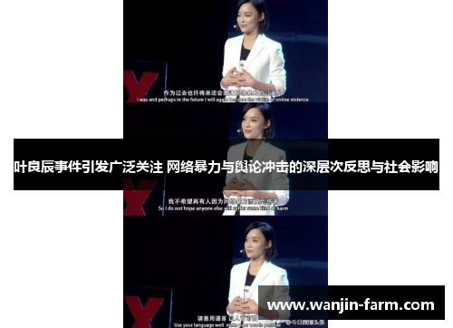 叶良辰事件引发广泛关注 网络暴力与舆论冲击的深层次反思与社会影响